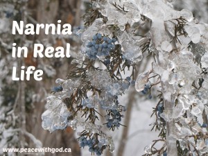 Narnia in Real Life